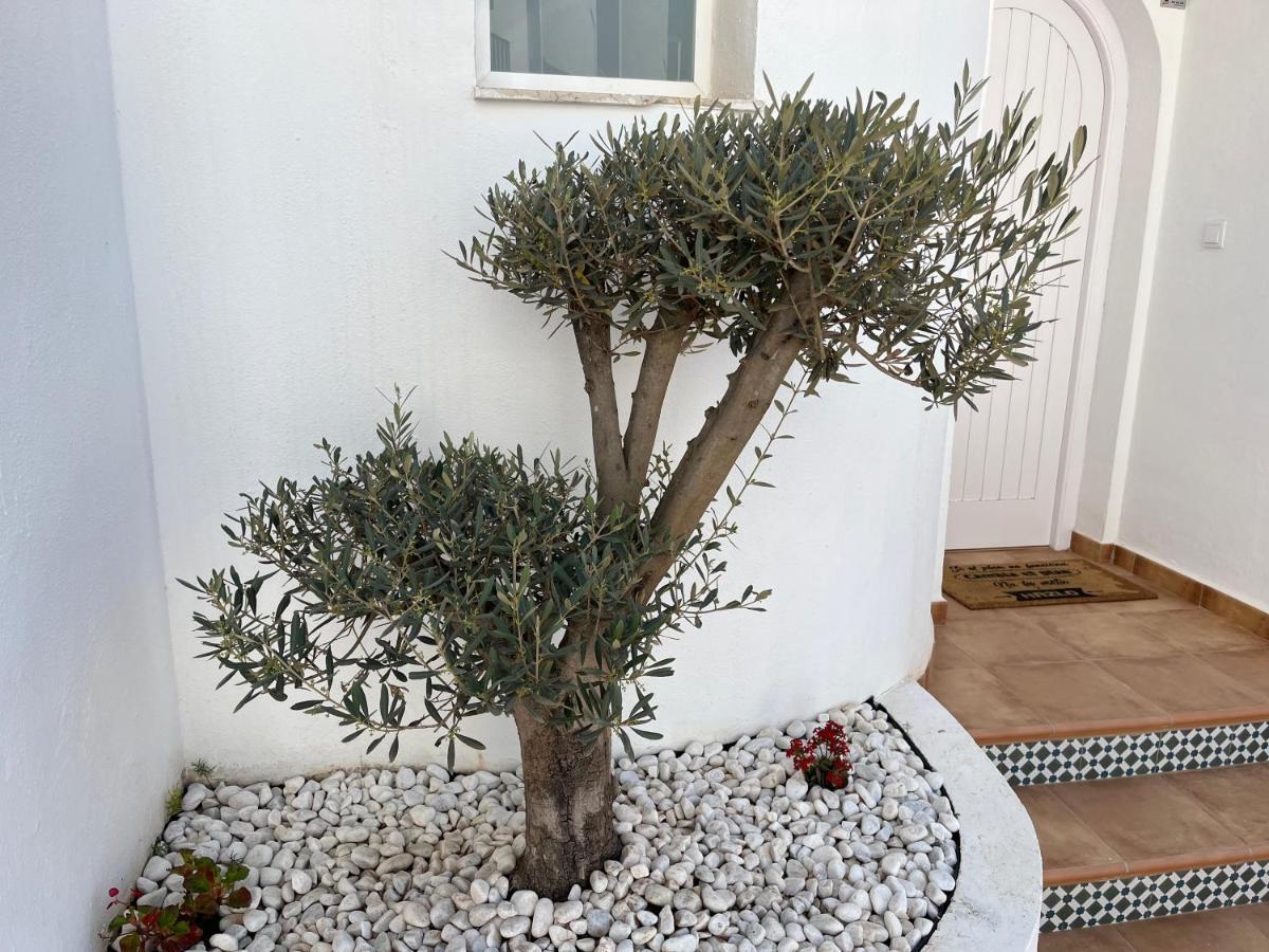 فيلا Casa Del Olivo Almuñécar المظهر الخارجي الصورة
